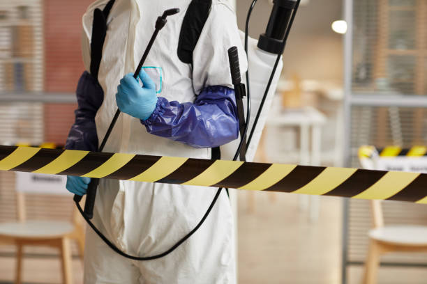 Professional Biohazard Cleanup technician working in Bergheim, TX